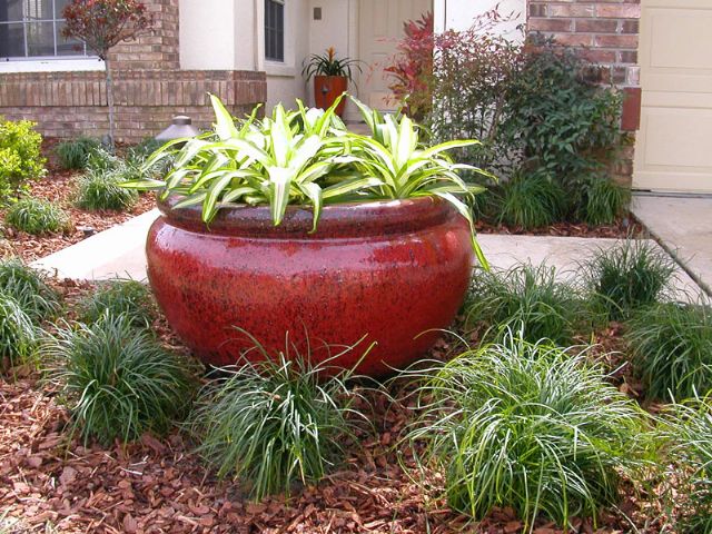 Central Florida Plant and Garden Containers - The ...
